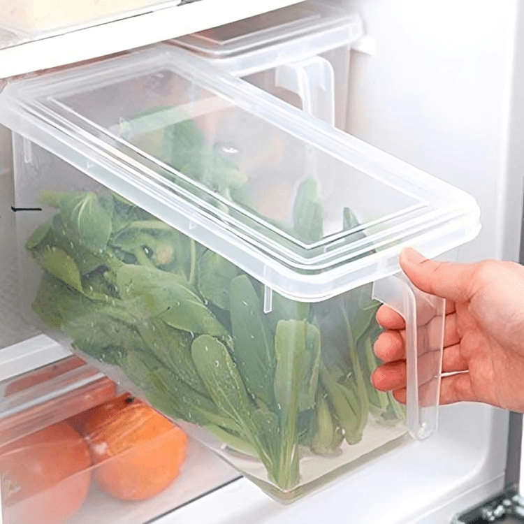 Kitchen Fridge Storage Box - Gizmeleon