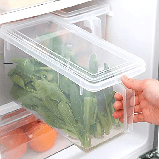 Kitchen Fridge Storage Box - Gizmeleon